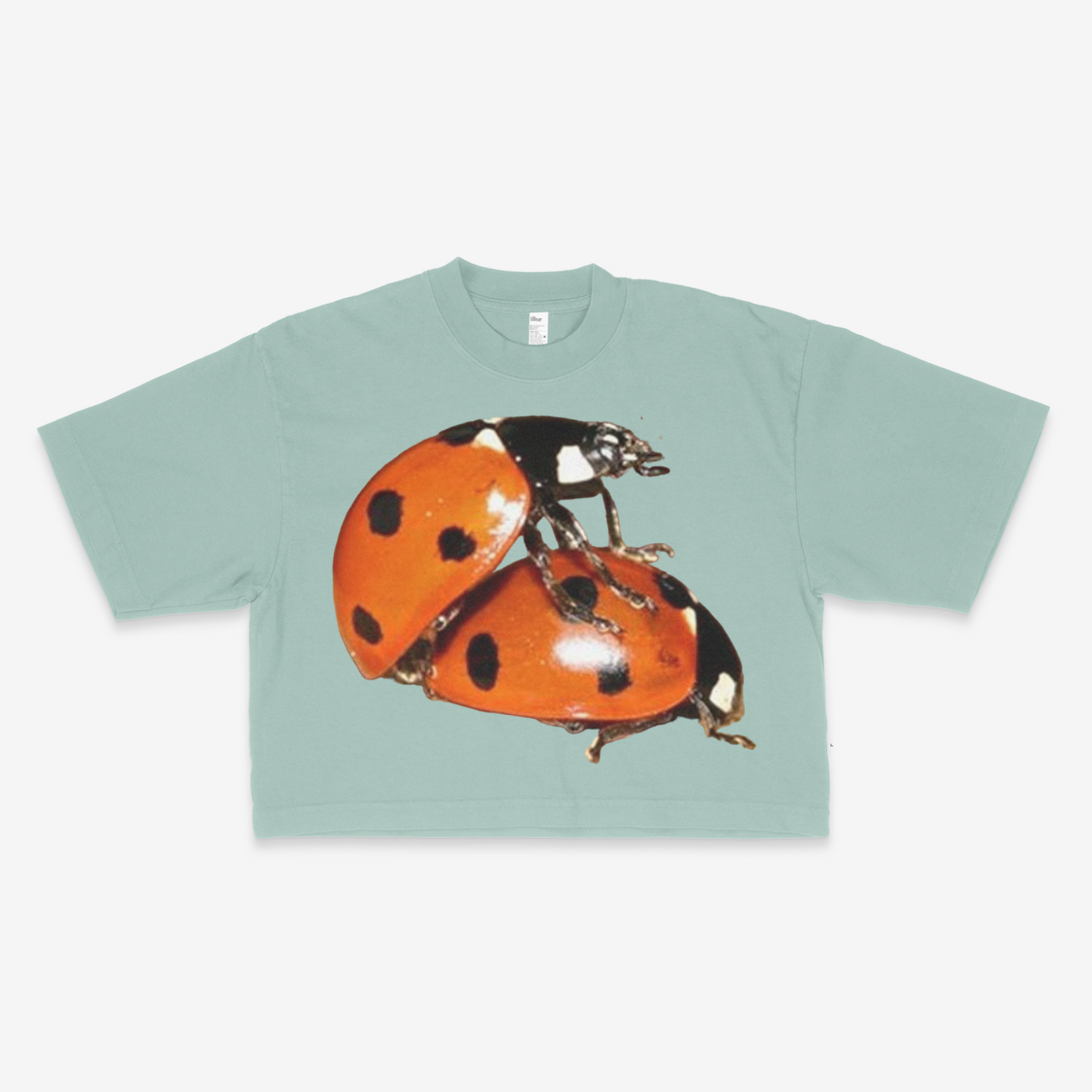Ladybug Love Tee
